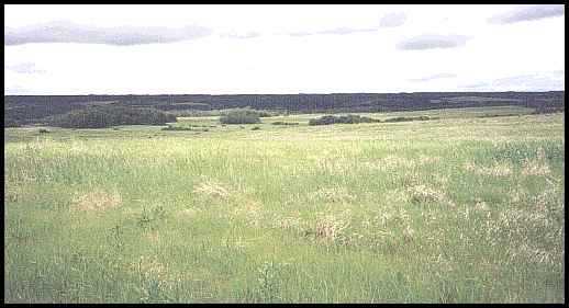 battle field with Batoche in centre of photo  -  19 kb