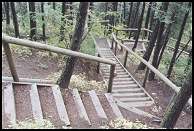 stairs in woods - 41 Kb
