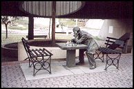 playing chess by a park - 48 Kb