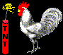 rooster.gif (16734 bytes)