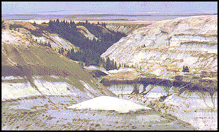entrance to the west leg as seen from the South Viewpoint  (58 kb)