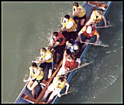 dragon boat rowers  (51 kb)