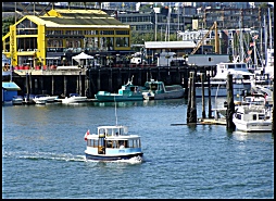 the ferry in False creek with 
Granville Island marketplace in
the background. (423 kb)