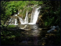 The small falls at
   Big Hill Springs
 (click to view at youtube)