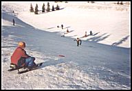 sledding  - 14 Kb