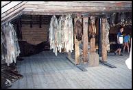 furs in the attic  (34 kb)